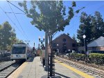 Northbound VTA LR Train arriving into Downtown Campbell Station